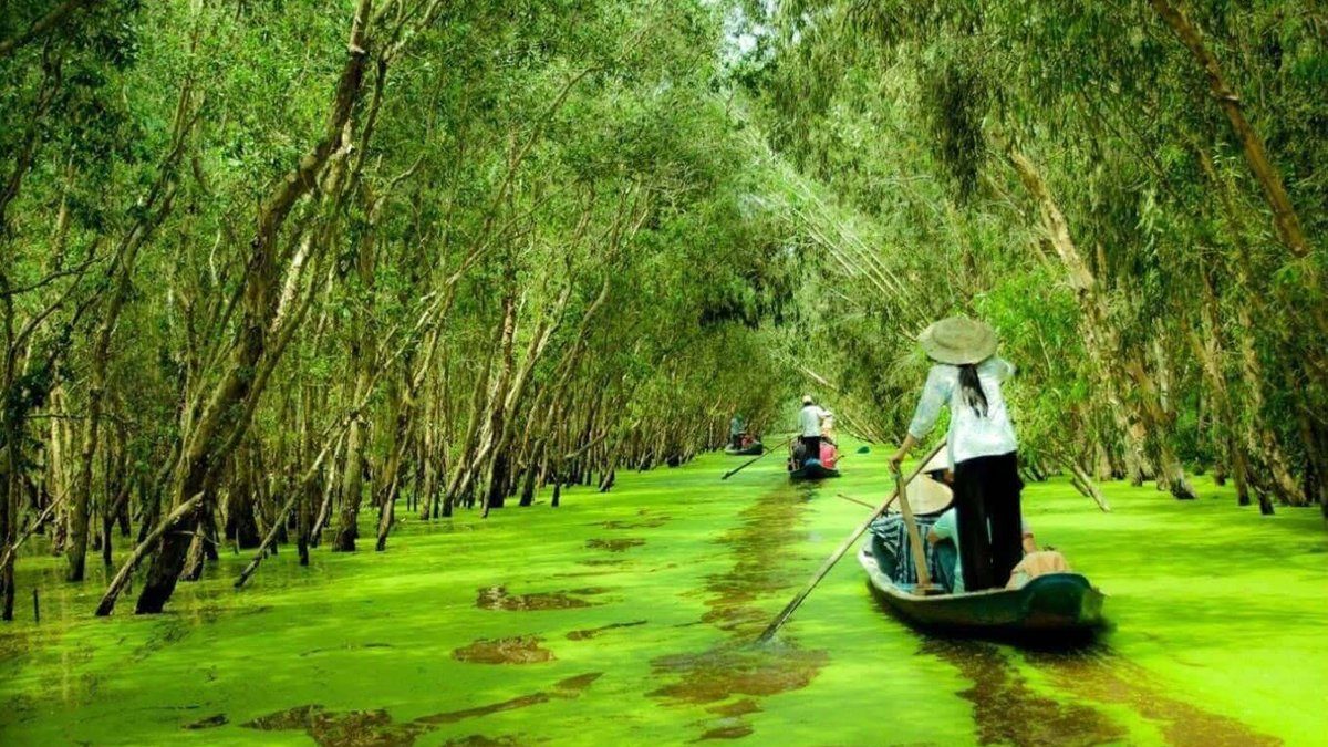 Xuồng ba lá len giữa Rừng Tràm Trà Sư